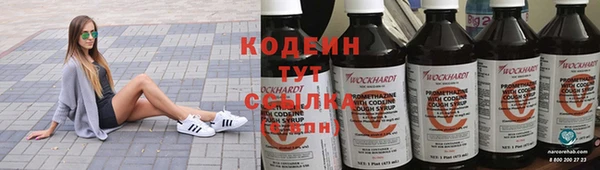 крисы Богородск