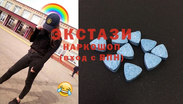 СК Богородицк