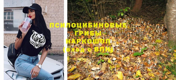 крисы Богородск