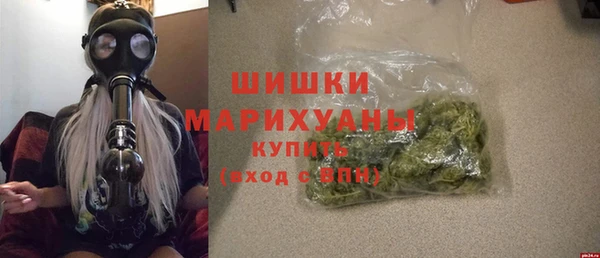 СК Богородицк